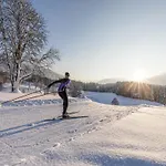 Apartman With Mountain Views *
